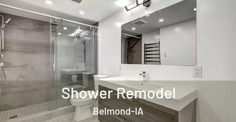 inner Bathroom imggen Shower Remodel Belmond-IA