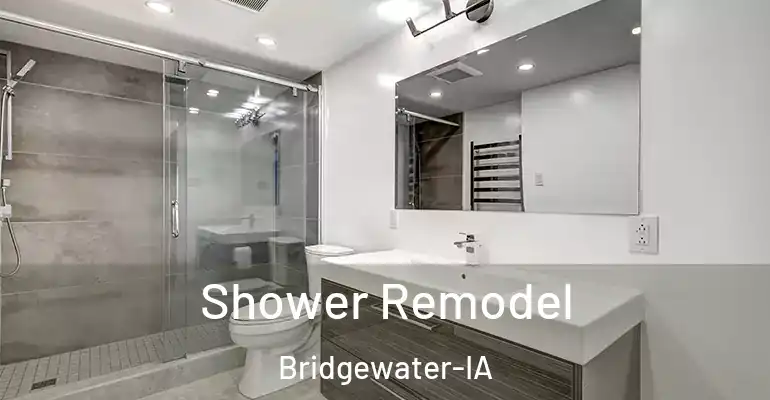 inner Bathroom imggen Shower Remodel Bridgewater-IA