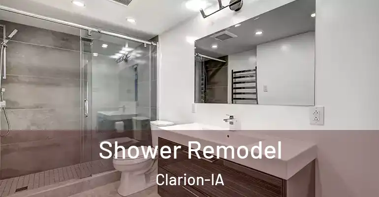 inner Bathroom imggen Shower Remodel Clarion-IA