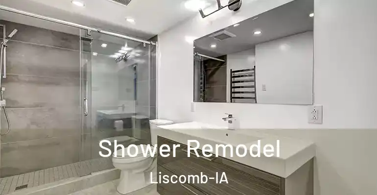 inner Bathroom imggen Shower Remodel Liscomb-IA
