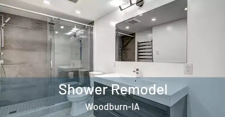 inner Bathroom imggen Shower Remodel Woodburn-IA