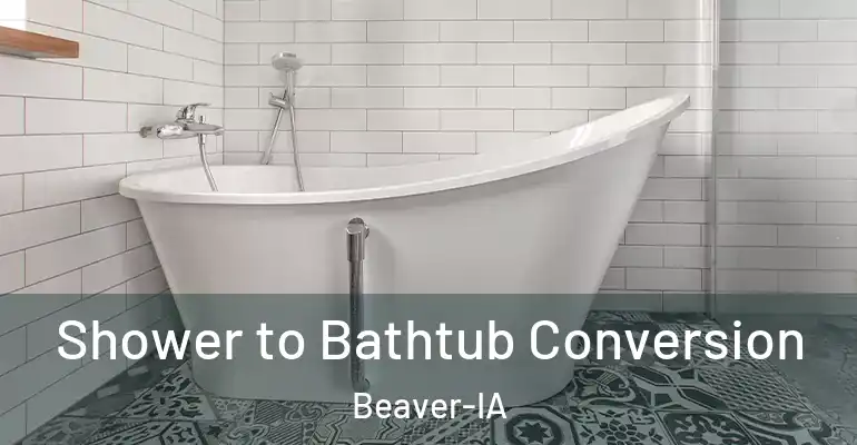inner Bathroom imggen Shower to Bathtub Conversion Beaver-IA