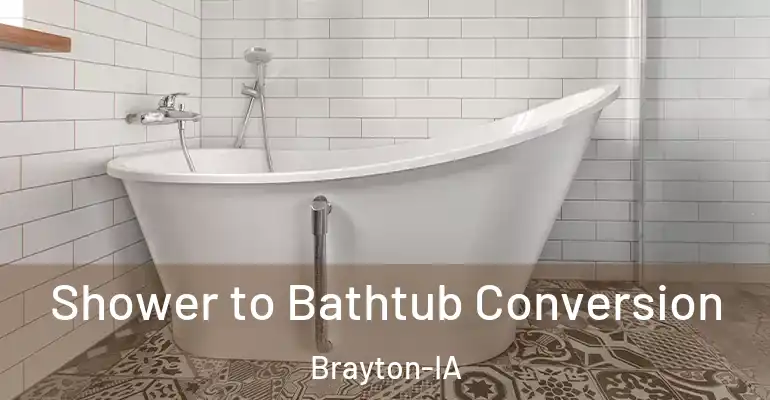 inner Bathroom imggen Shower to Bathtub Conversion Brayton-IA