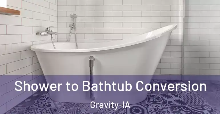 inner Bathroom imggen Shower to Bathtub Conversion Gravity-IA