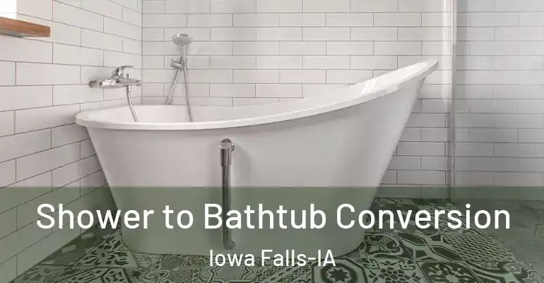 inner Bathroom imggen Shower to Bathtub Conversion Iowa Falls-IA