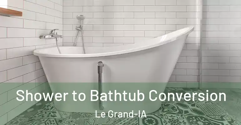 inner Bathroom imggen Shower to Bathtub Conversion Le Grand-IA