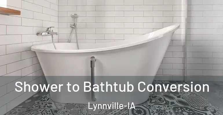 inner Bathroom imggen Shower to Bathtub Conversion Lynnville-IA