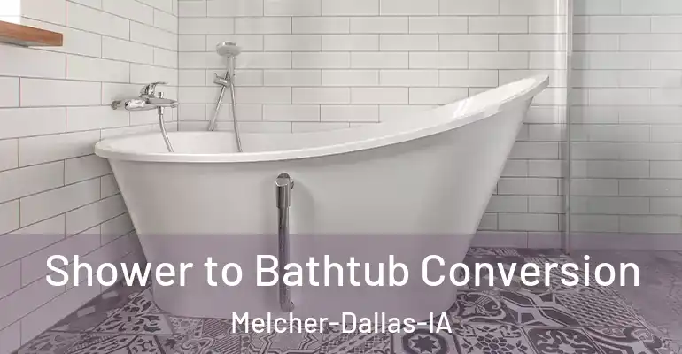 inner Bathroom imggen Shower to Bathtub Conversion Melcher-Dallas-IA