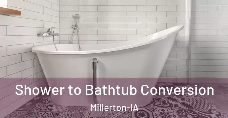 inner Bathroom imggen Shower to Bathtub Conversion Millerton-IA