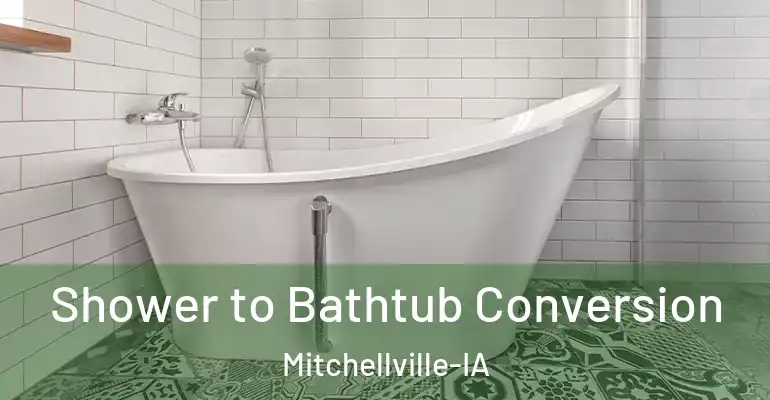 inner Bathroom imggen Shower to Bathtub Conversion Mitchellville-IA