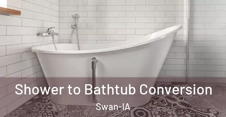 inner Bathroom imggen Shower to Bathtub Conversion Swan-IA