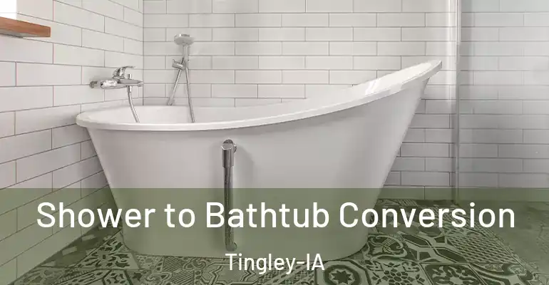 inner Bathroom imggen Shower to Bathtub Conversion Tingley-IA