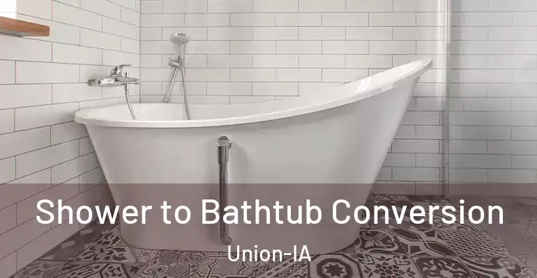 inner Bathroom imggen Shower to Bathtub Conversion Union-IA