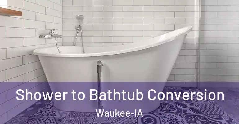 inner Bathroom imggen Shower to Bathtub Conversion Waukee-IA