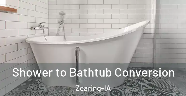inner Bathroom imggen Shower to Bathtub Conversion Zearing-IA