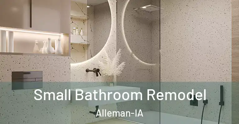 inner Bathroom imggen Small Bathroom Remodel Alleman-IA