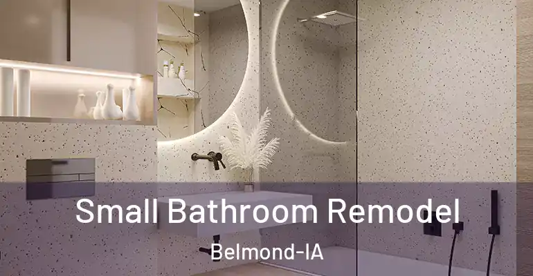 inner Bathroom imggen Small Bathroom Remodel Belmond-IA