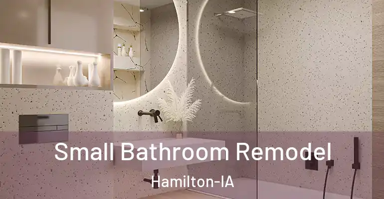 inner Bathroom imggen Small Bathroom Remodel Hamilton-IA