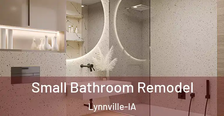 inner Bathroom imggen Small Bathroom Remodel Lynnville-IA