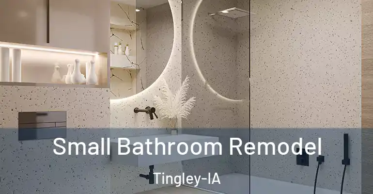 inner Bathroom imggen Small Bathroom Remodel Tingley-IA
