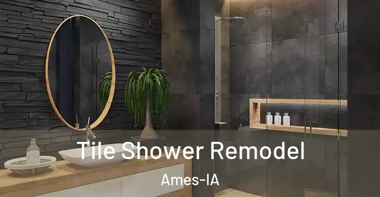inner Bathroom imggen Tile Shower Remodel Ames-IA