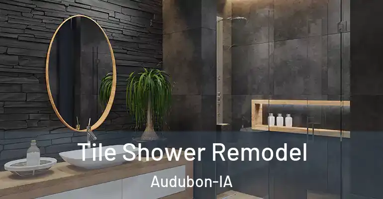 inner Bathroom imggen Tile Shower Remodel Audubon-IA
