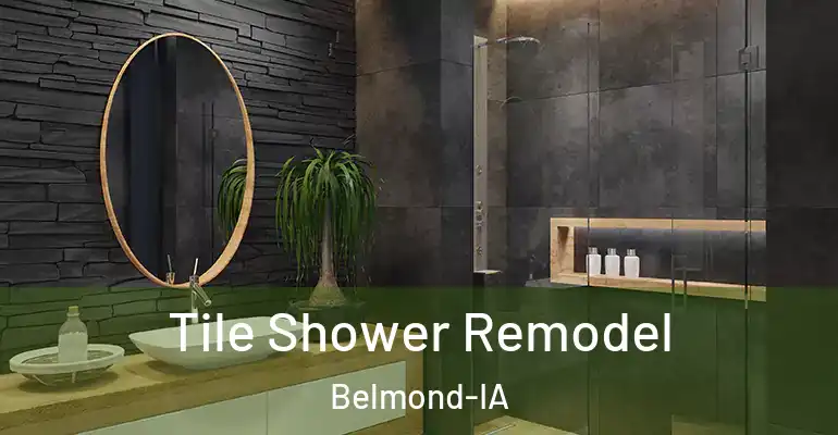 inner Bathroom imggen Tile Shower Remodel Belmond-IA