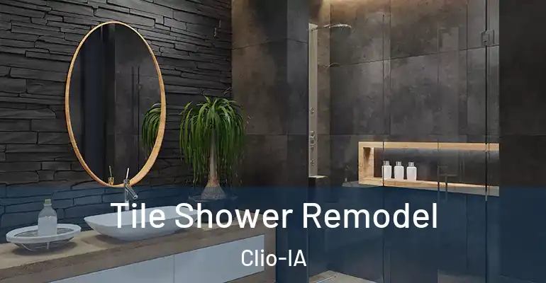 inner Bathroom imggen Tile Shower Remodel Clio-IA