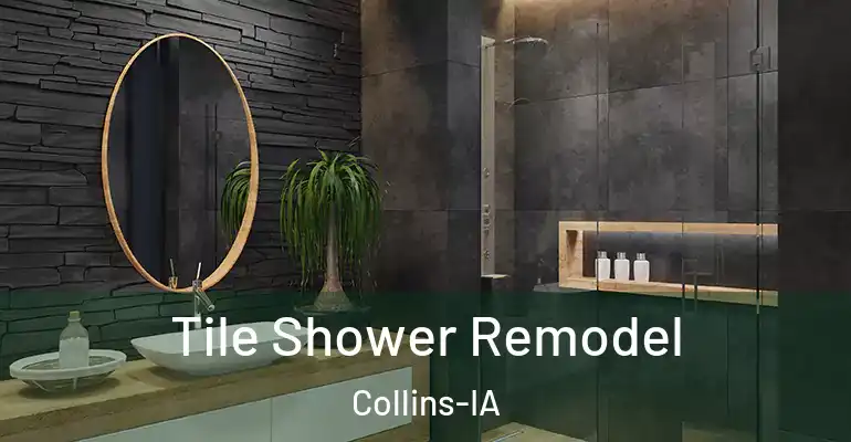 inner Bathroom imggen Tile Shower Remodel Collins-IA