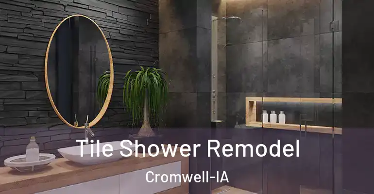 inner Bathroom imggen Tile Shower Remodel Cromwell-IA