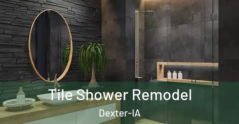 inner Bathroom imggen Tile Shower Remodel Dexter-IA