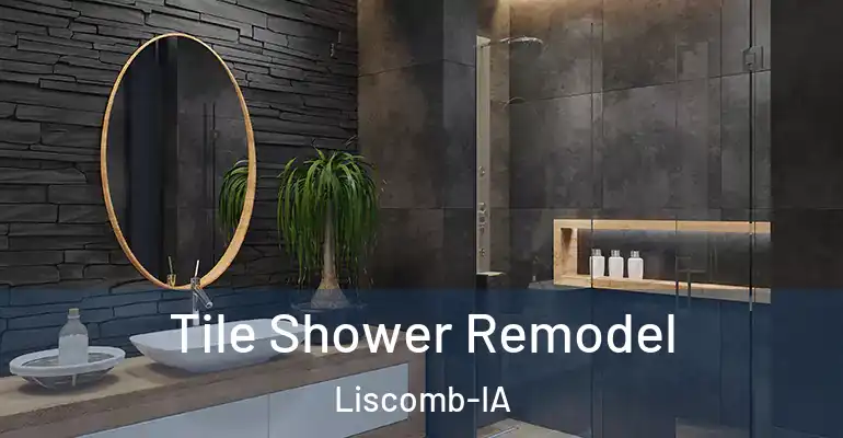 inner Bathroom imggen Tile Shower Remodel Liscomb-IA