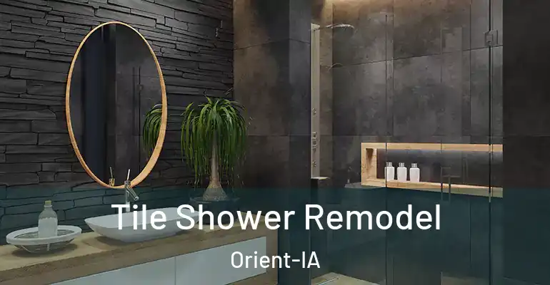 inner Bathroom imggen Tile Shower Remodel Orient-IA