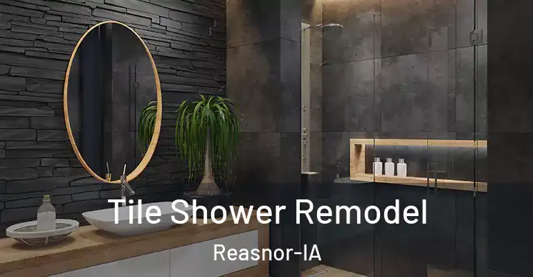 inner Bathroom imggen Tile Shower Remodel Reasnor-IA