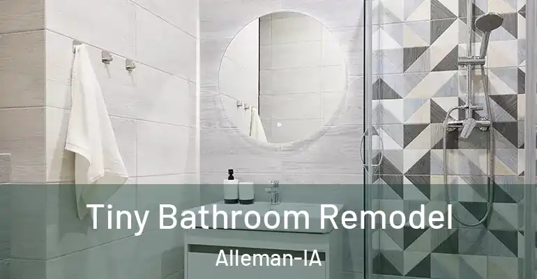 inner Bathroom imggen Tiny Bathroom Remodel Alleman-IA