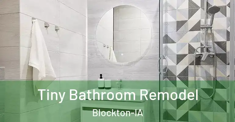 inner Bathroom imggen Tiny Bathroom Remodel Blockton-IA
