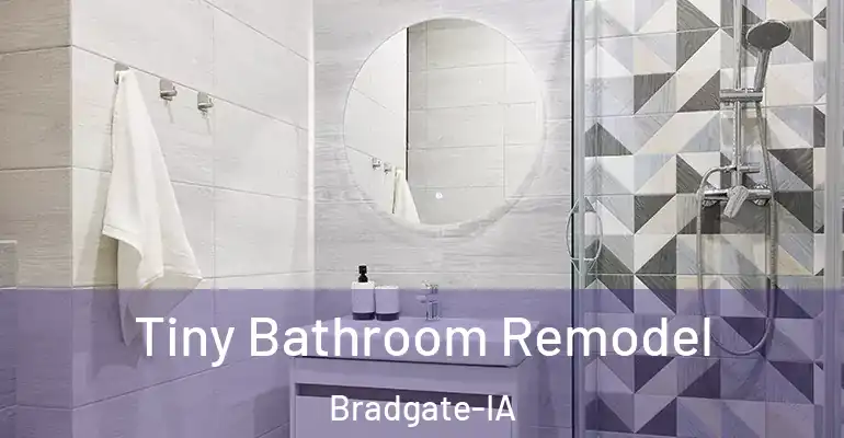 inner Bathroom imggen Tiny Bathroom Remodel Bradgate-IA