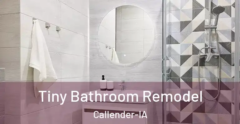 inner Bathroom imggen Tiny Bathroom Remodel Callender-IA