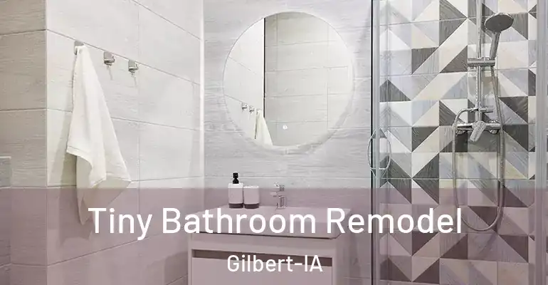 inner Bathroom imggen Tiny Bathroom Remodel Gilbert-IA