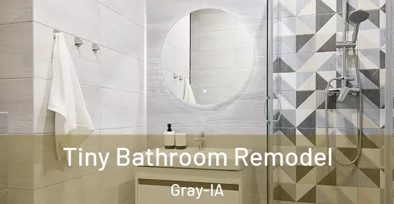 inner Bathroom imggen Tiny Bathroom Remodel Gray-IA