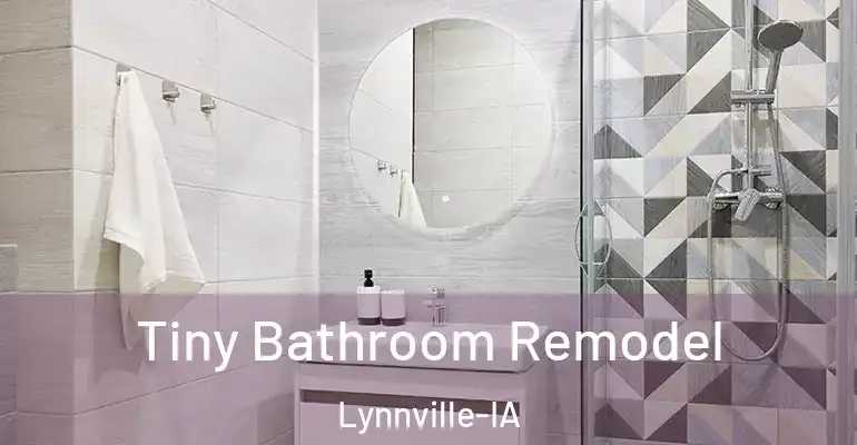 inner Bathroom imggen Tiny Bathroom Remodel Lynnville-IA