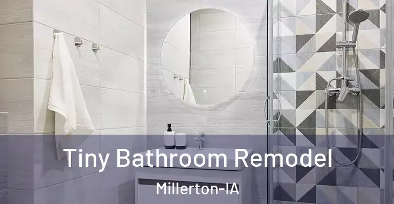 inner Bathroom imggen Tiny Bathroom Remodel Millerton-IA