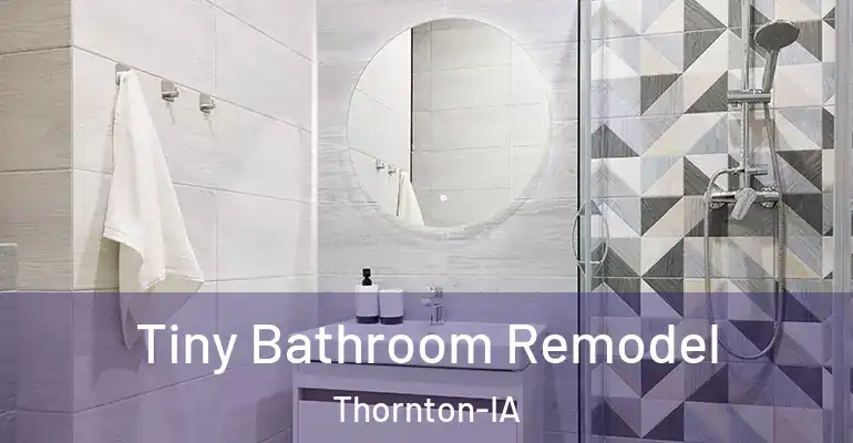 inner Bathroom imggen Tiny Bathroom Remodel Thornton-IA