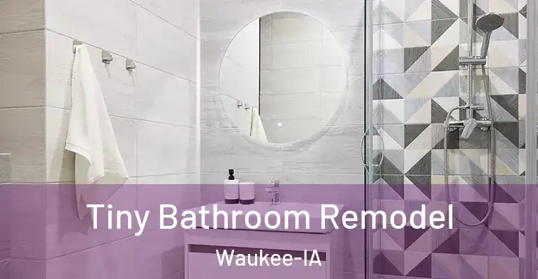 inner Bathroom imggen Tiny Bathroom Remodel Waukee-IA