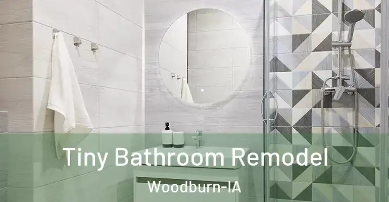 inner Bathroom imggen Tiny Bathroom Remodel Woodburn-IA