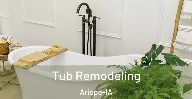 inner Bathroom imggen Tub Remodeling Arispe-IA
