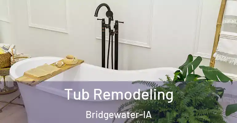 inner Bathroom imggen Tub Remodeling Bridgewater-IA