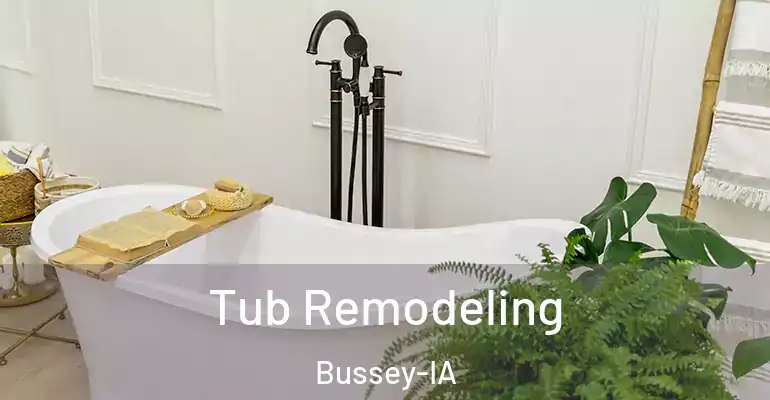 inner Bathroom imggen Tub Remodeling Bussey-IA
