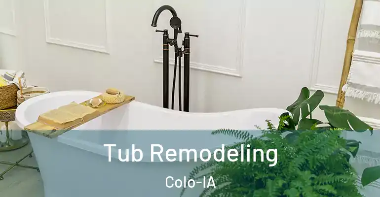 inner Bathroom imggen Tub Remodeling Colo-IA