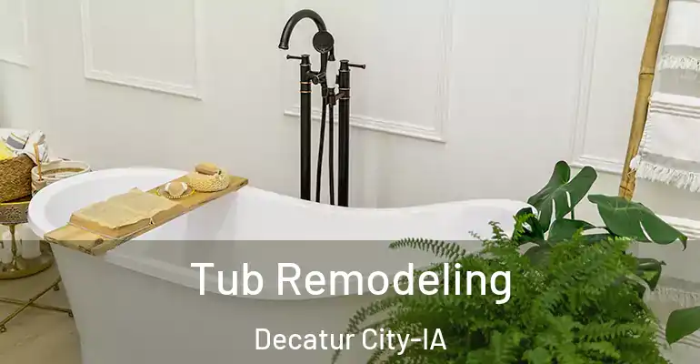 inner Bathroom imggen Tub Remodeling Decatur City-IA